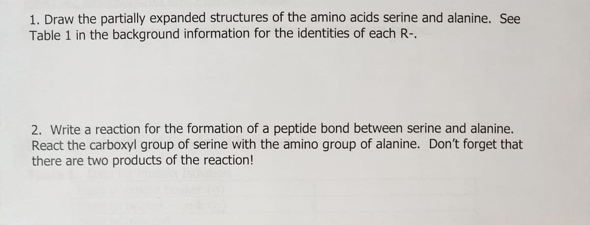 1. Draw the partially expanded structures of the amino acids serine and alanine. See
Table 1 in the background information for the identities of each R-.
2. Write a reaction for the formation of a peptide bond between serine and alanine.
React the carboxyl group of serine with the amino group of alanine. Don't forget that
there are two products of the reaction!