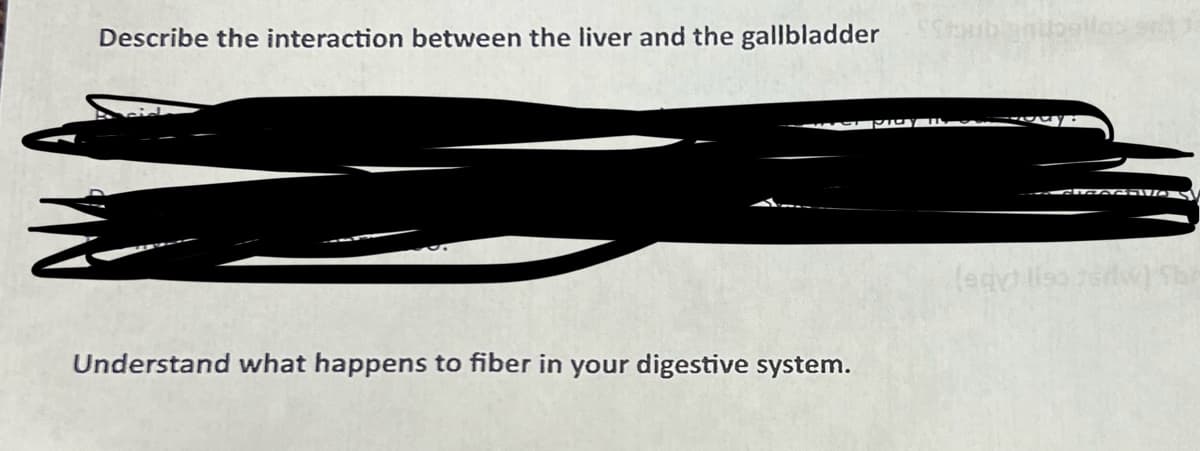 Describe the interaction between the liver and the gallbladder
Strublanipe
Understand what happens to fiber in your digestive system.
(egy liso