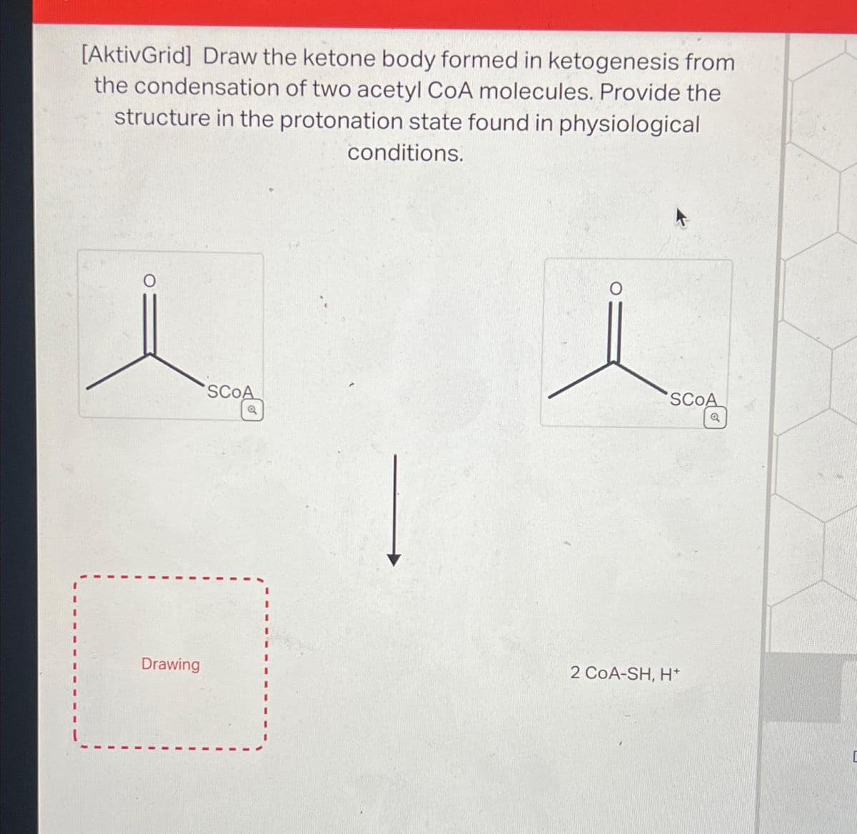 [AktivGrid] Draw the ketone body formed in ketogenesis from
the condensation of two acetyl CoA molecules. Provide the
structure in the protonation state found in physiological
conditions.
Drawing
SCOA
SCOA
2 COA-SH, H*
