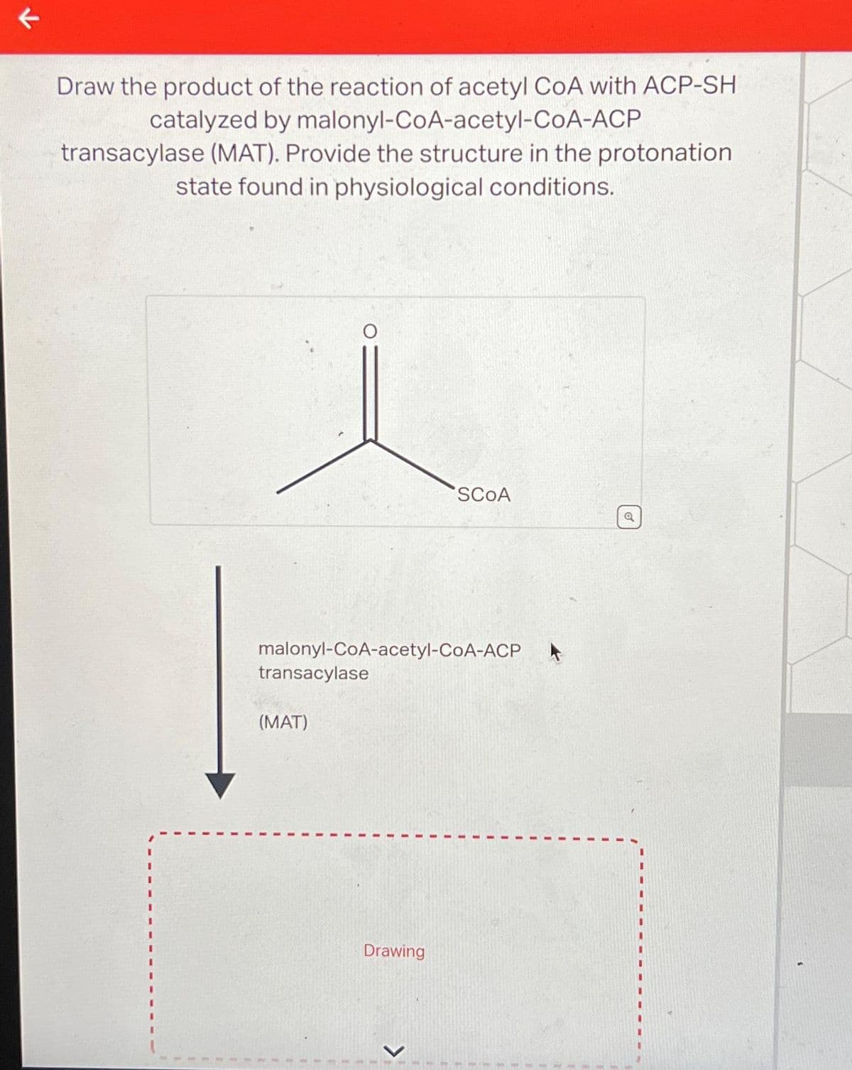 K
Draw the product of the reaction of acetyl CoA with ACP-SHI
catalyzed by malonyl-CoA-acetyl-CoA-ACP
transacylase (MAT). Provide the structure in the protonation
state found in physiological conditions.
malonyl-CoA-acetyl-CoA-ACP
transacylase
(MAT)
SCOA
Drawing
Q